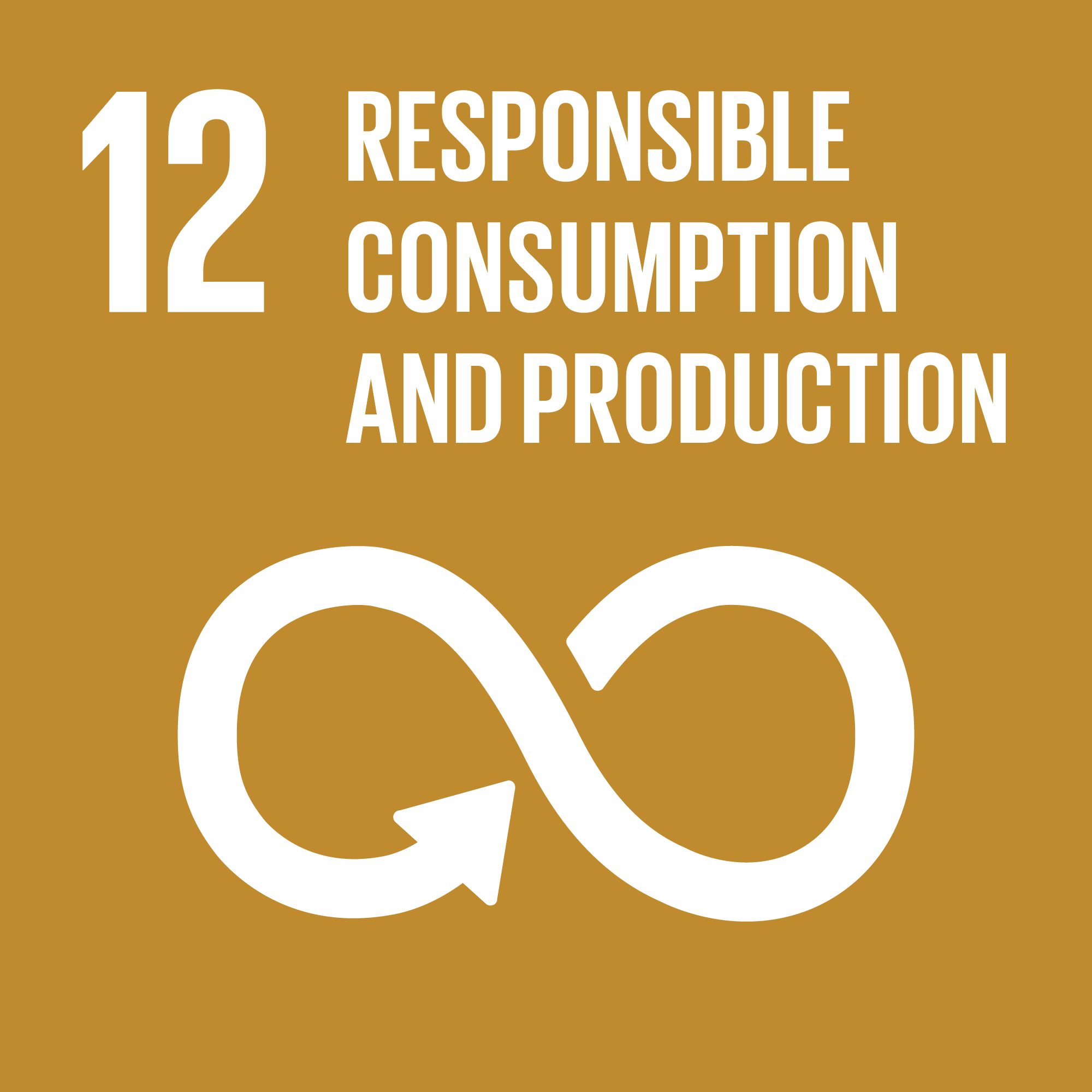 SDG12: Responsible Consumption & Production