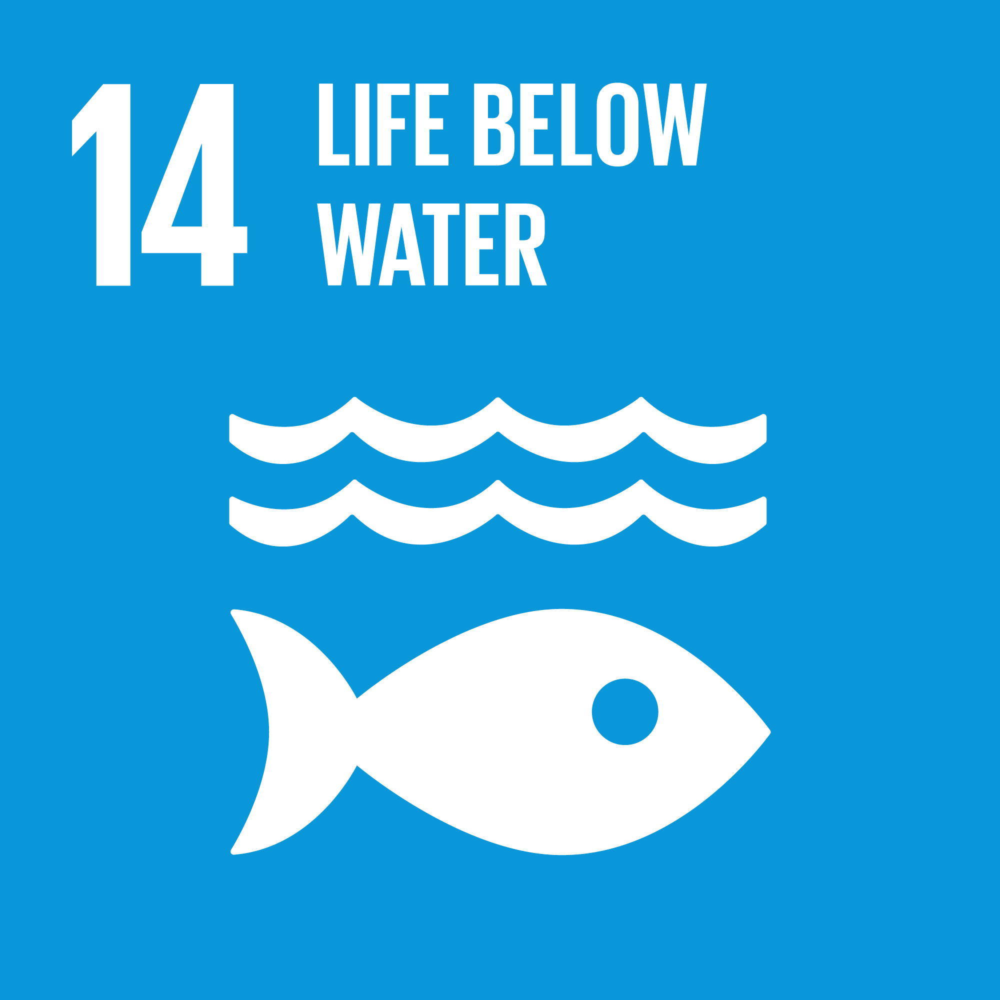 SDG14: Life Below Water
