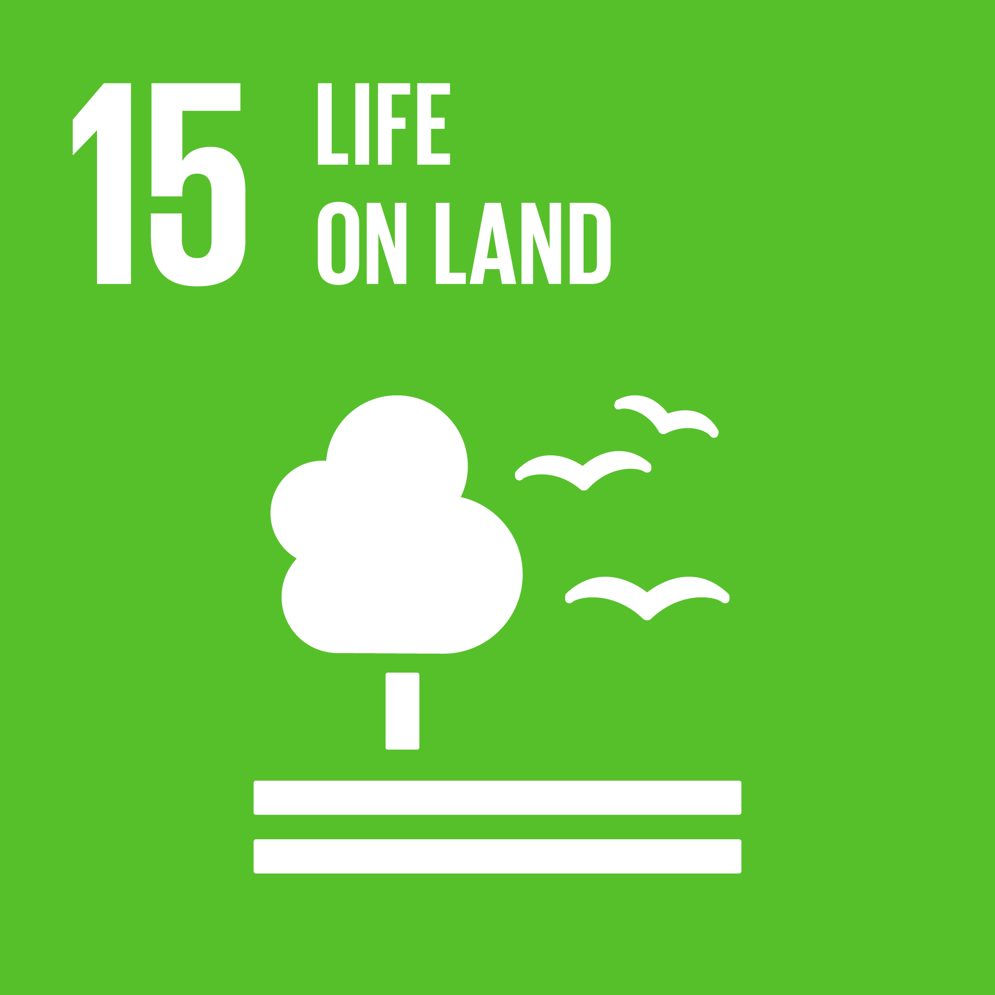 SDG15: Life on Land