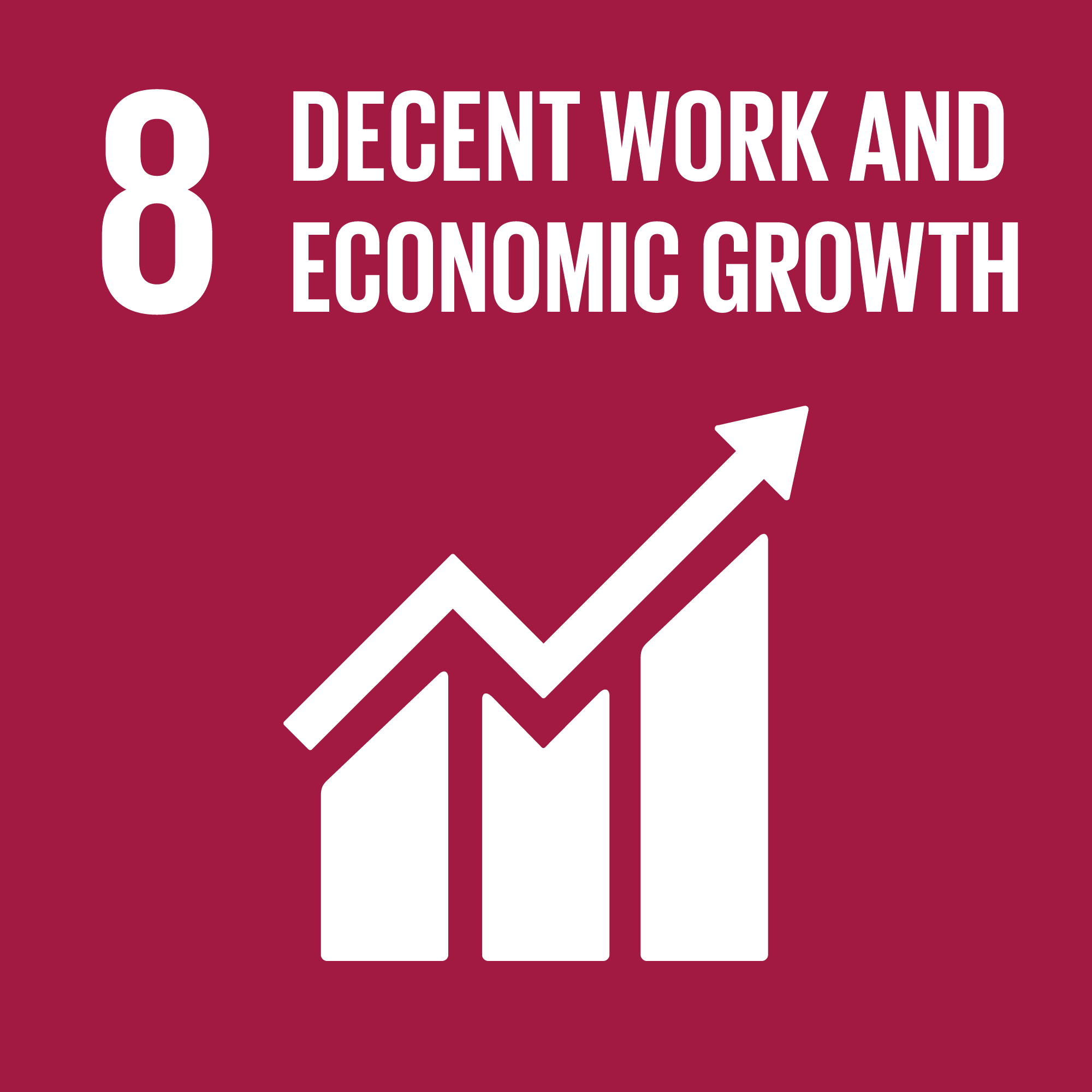 SDG8: Decent Work & Economic Growth